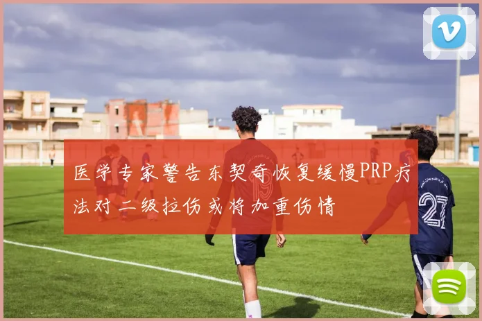 医学专家警告东契奇恢复缓慢PRP疗法对二级拉伤或将加重伤情